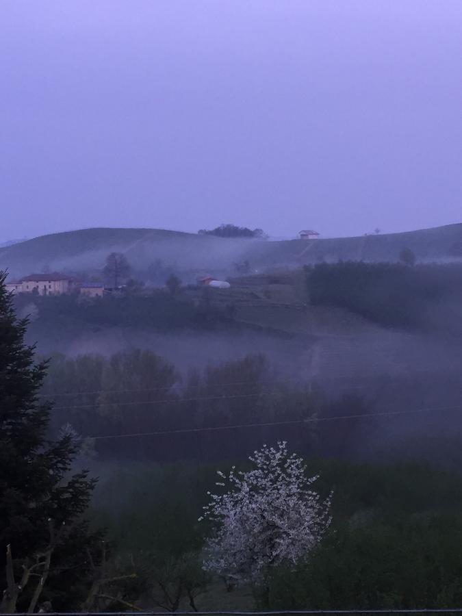 Cascina Baresane Bed & Breakfast Alba  Exterior foto