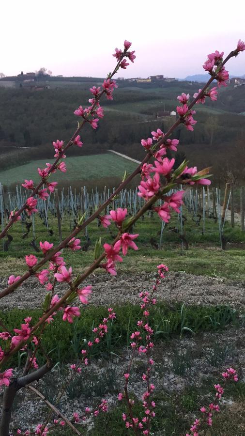 Cascina Baresane Bed & Breakfast Alba  Exterior foto
